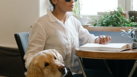 Inclusão Escolar de Alunos com Deficiência Visual