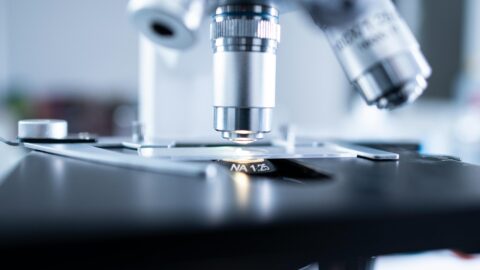Biotecnologia
