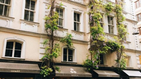 MBA em Gestão Socioambiental e Desenvolvimento Sustentável