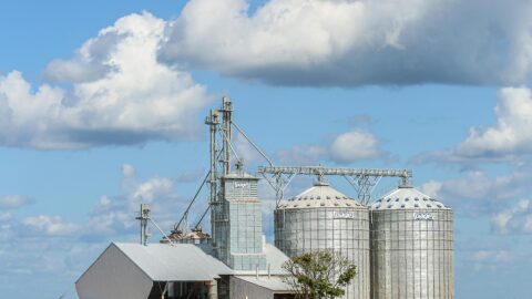 Gestão Estratégica do Agronegócio